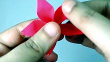 A Tiny Red Flower… A Big Feeling 🌹