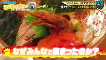 亀梨くんのワンにゃフル！ MC：亀梨和也！計250kg！ふわもこピレニーズ一家＆120時間迷子犬 - 2026年04月08日