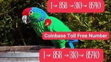 LIVE ⁂Coinbase® Toll free© helpline® Numbers 抑… 24*7 HELP DEsK