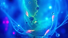 Trauma Ages Your Cells Faster Than Time