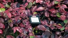 Aura E-Ink Tracker  Your Items  Your Identity by Aura — Kickstarter