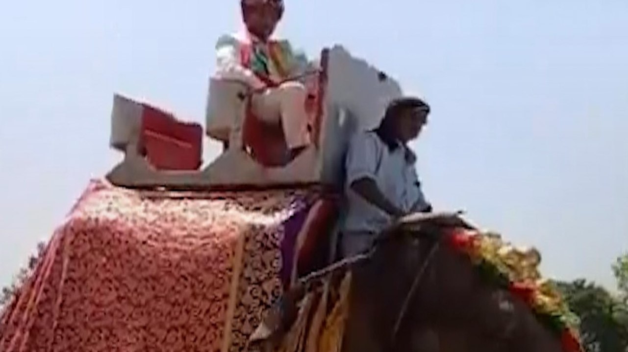 मेरठ में हाथी पर निकली दूल्हे की बारात, Video