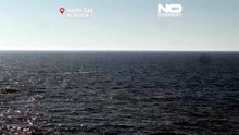 Alemanha: baleia-jubarte encalhada libertada no mar do Norte