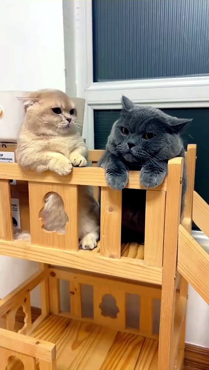 The most unexpected plot twist you'll see today!"