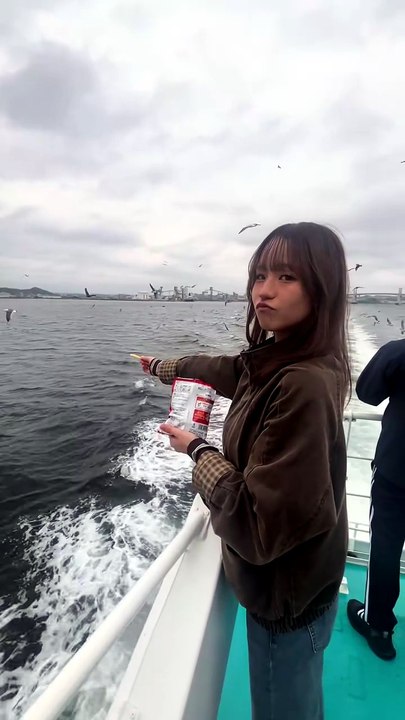 Donner à manger aux mouettes sur un bateau #Fail