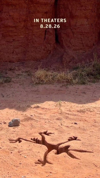 COYOTE VS ACME - LE 26 AOÛT 2026 AU CINÉMA
