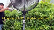 Mingletec high efficiency BLDC industrial wall fan #mingletec #highefficiency #BLDC #industrialfan #wallfan #outdoor #ventilation #manufacturer #fyp