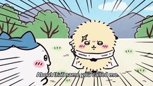 Chiikawa EP249 「やりたいことリスト⑤／シーサーの資格①」