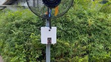 Mingletec powerful BLDC industrial wall mounted mist fan#mingletec #BLDC #wallmount #mistfan #warehouse #factory #outdoor #ventilation #manufacturer #fyp