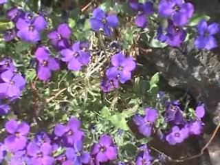 [Court métrage] Retour aux sources