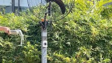 Mingletec Brushless fully sealed DC motor industrial wall fan #mingletec #bldc #wallmount #industrialfan #wallfan #outdoors #manufacturer #fyp