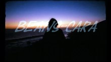 beans-cara