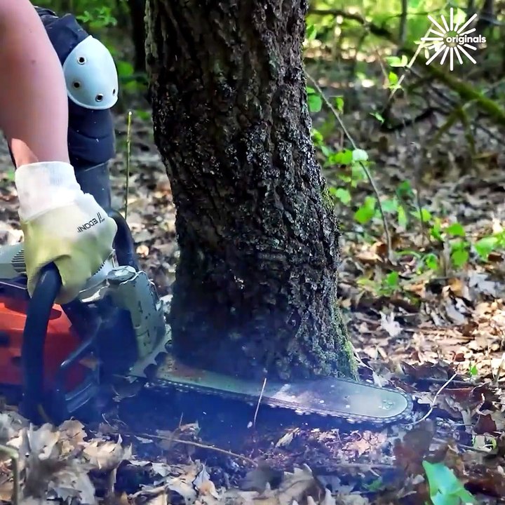 Steps for safely clearing a dangerous hung-up tree