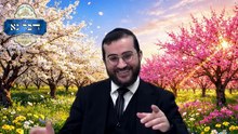 פסח - הלכות חודש ניסן, ודיני ברכת האילנות | סיכום ההלכות והמנהגים של חודש ניסן | רבי דוד בכר