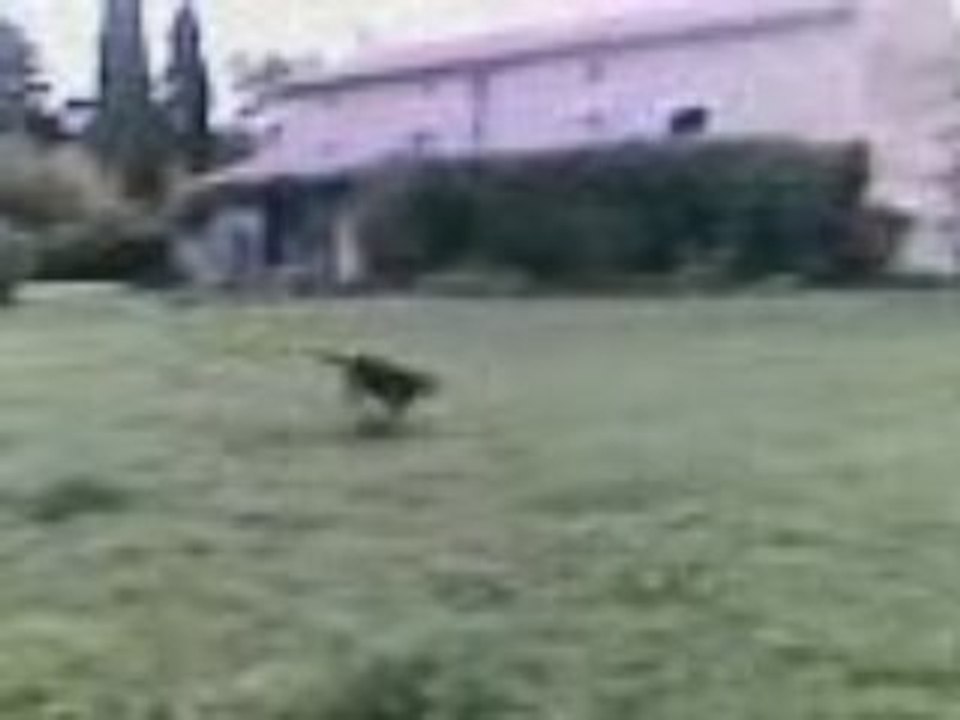 01062008 SINGLE