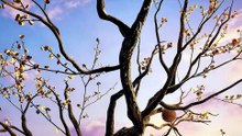 Way of_Choices_Eps 16