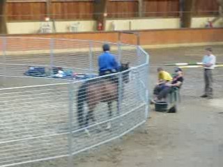 Monty Roberts 10 Juin 2008