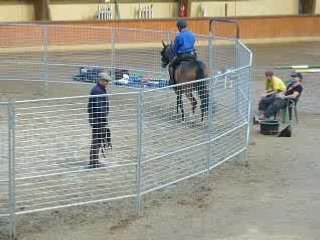 Monty Roberts 10 Juin 2008