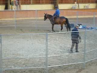 Monty Roberts 10 Juin 2008