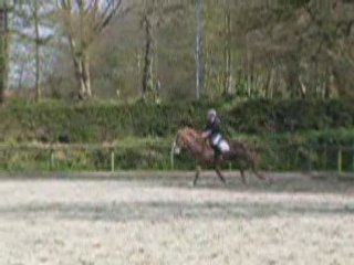 mwa test d'equitation