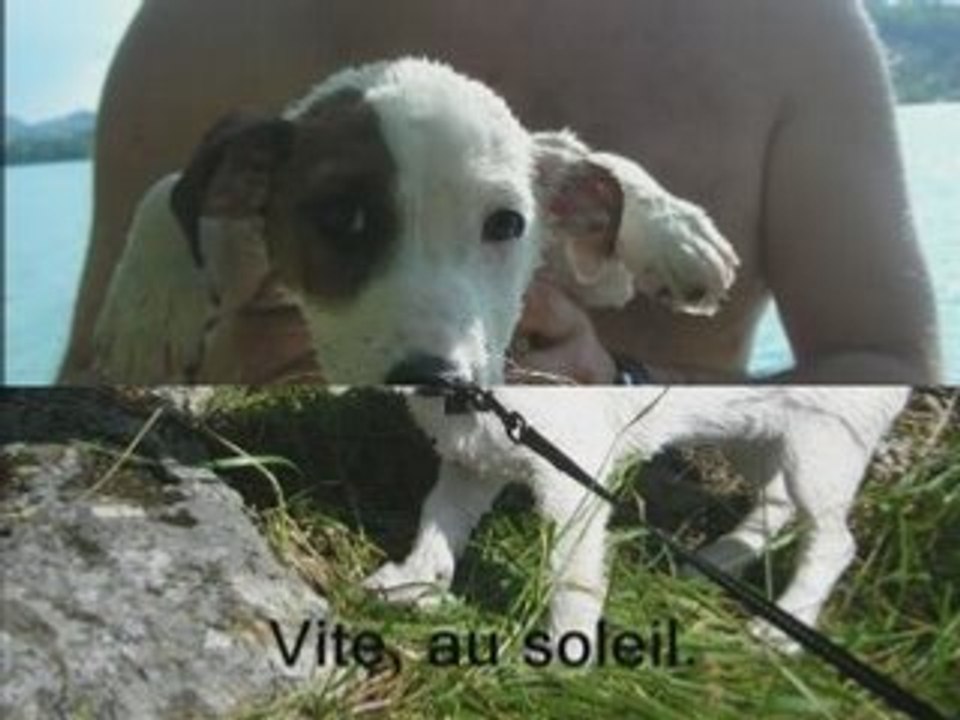 Photorécit Djerry