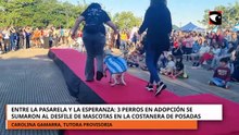3 perros en adopción se sumaron al desfile de mascotas en la costanera
