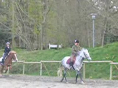mwa test d'equitation 2