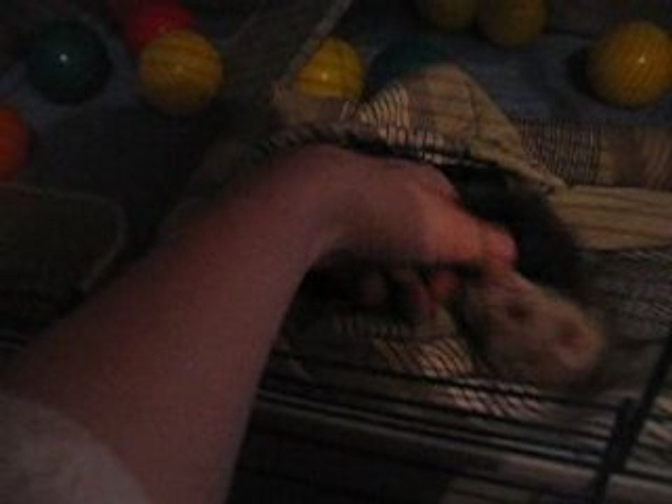 Pixel