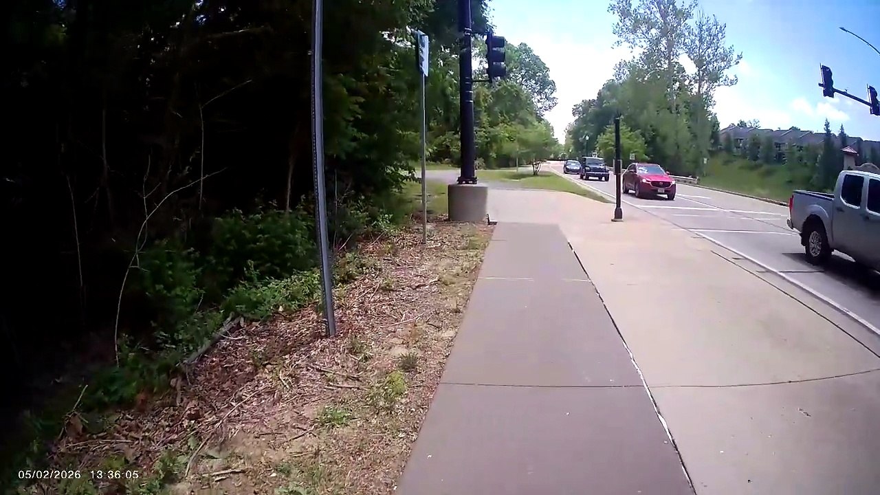 Couldn't Catch the Snake (2/2) (please read video description)