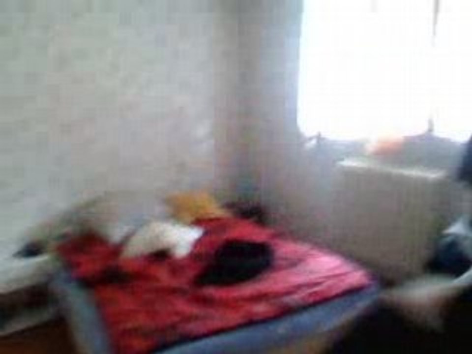 Jess vs l araignee (le combat)