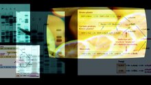 Você Aceita o teste de paternidade, mas nega a evolução?