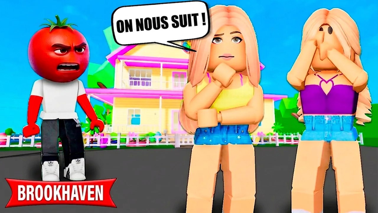 TOMATE NOUS POURCHASSE ! | Histoires Brookhaven RP | Roblox