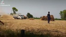 Punjabi mahol