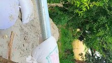 Punjabi mahol