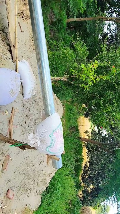 Punjabi mahol