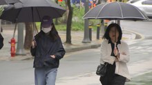 [날씨] 오늘 전국 곳곳 봄비...바람 불며 쌀쌀, 서울 낮 16℃ / YTN
