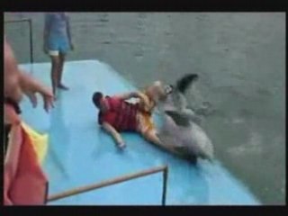 Lachvandedag.nl - Dolfijnentherapie?