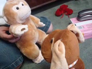 Wallas ne comprend rien