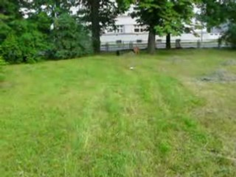 Sisi, Maruska