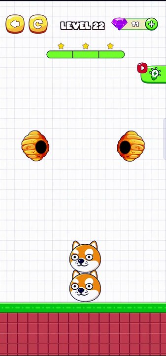 Save The Pets Level 22