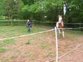 1er travail en liberté magnum 3