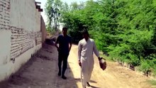 Funny video script