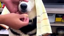 发现更多精彩视频