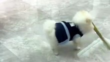 看我的