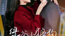 229 精彩都市短剧 《绿茶小狼狗诱我情深》 上