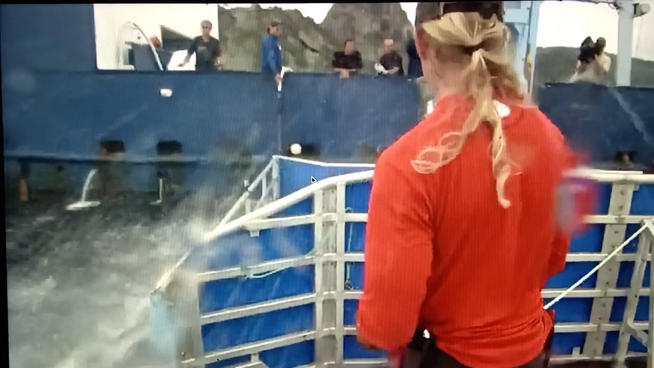 Hommes requins : un monde perdu