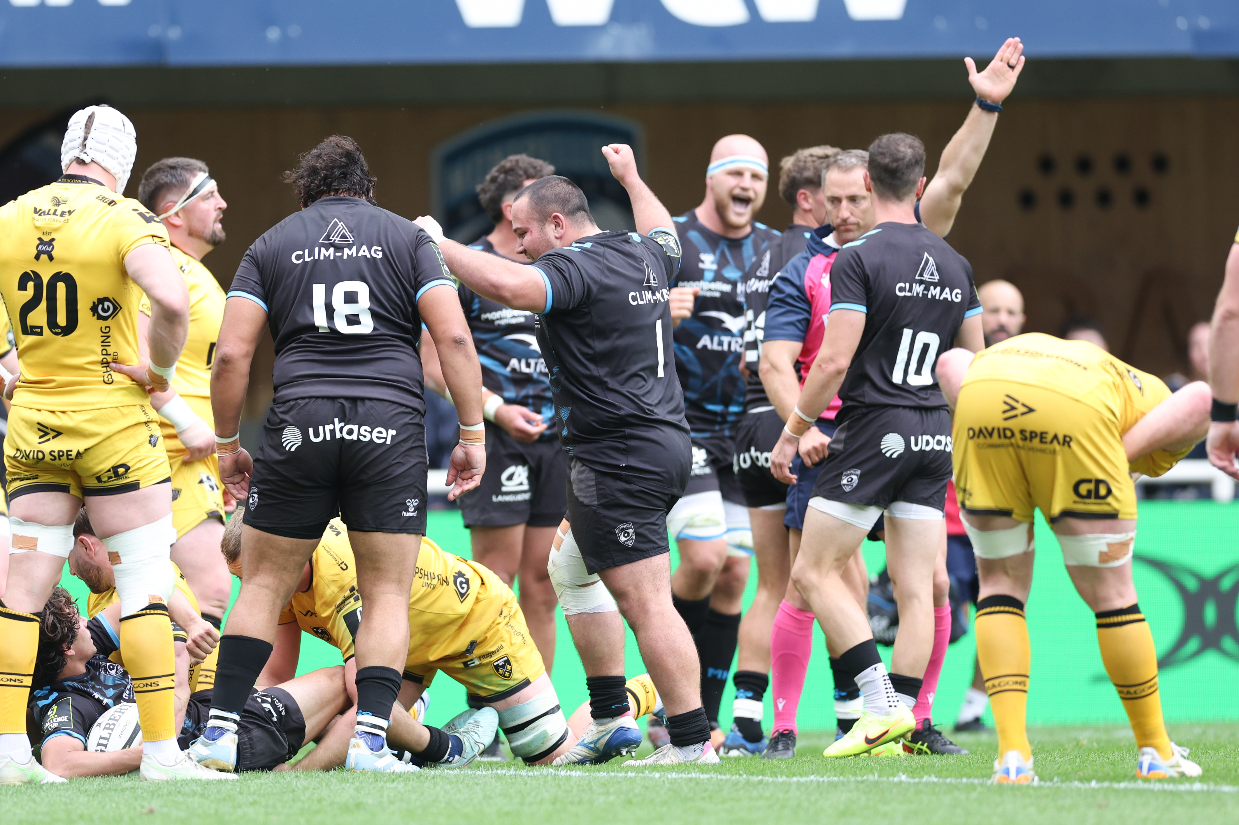 WEB RESUME MONTPELLIER DRAGONS