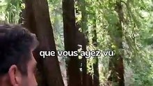 JOUR 14 ： L'arbre le plus grand du monde