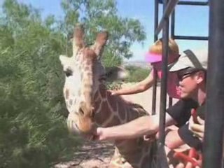 Out of Africa Wildlife Park Sedona Arizona