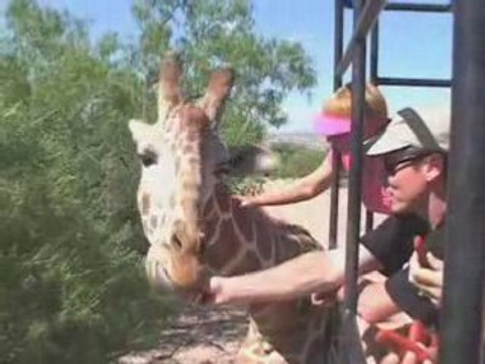 Out of Africa Wildlife Park Sedona Arizona